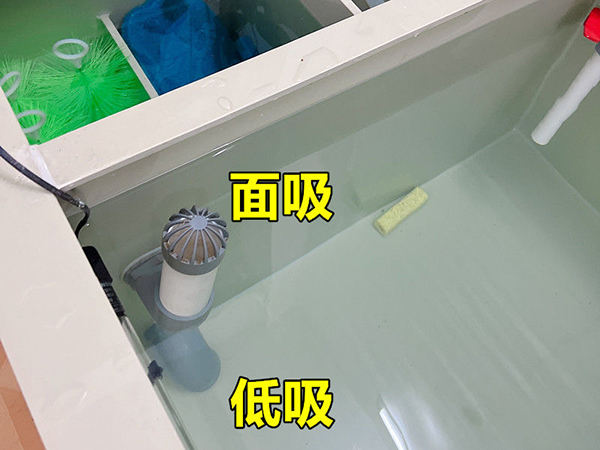 暫養池